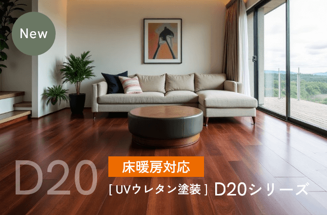 D20
